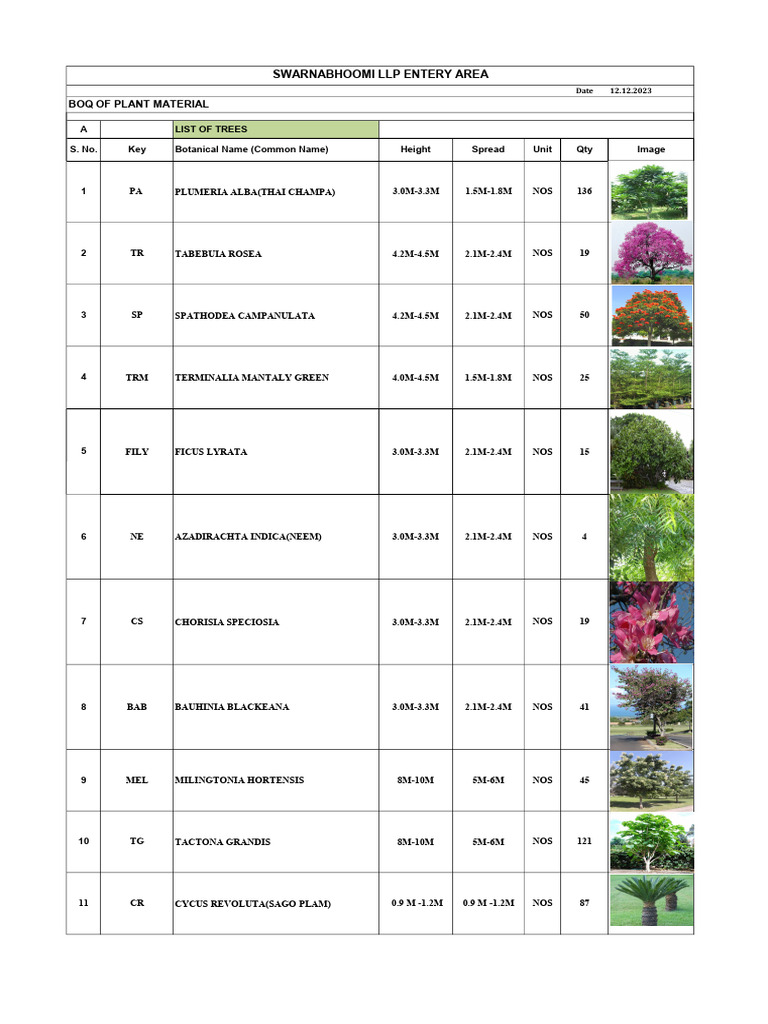Comprehensive Plant Material List | PDF | Organisms | Botany