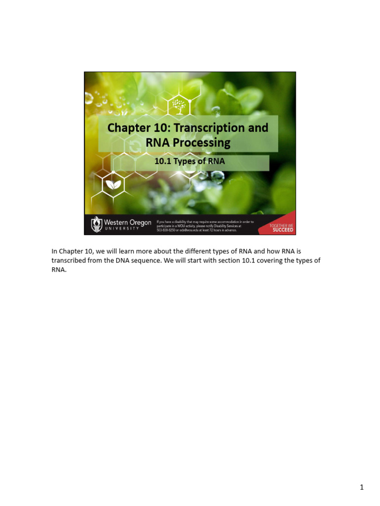 Chapter 10 PDF With Notes | PDF | Rna | Messenger Rna