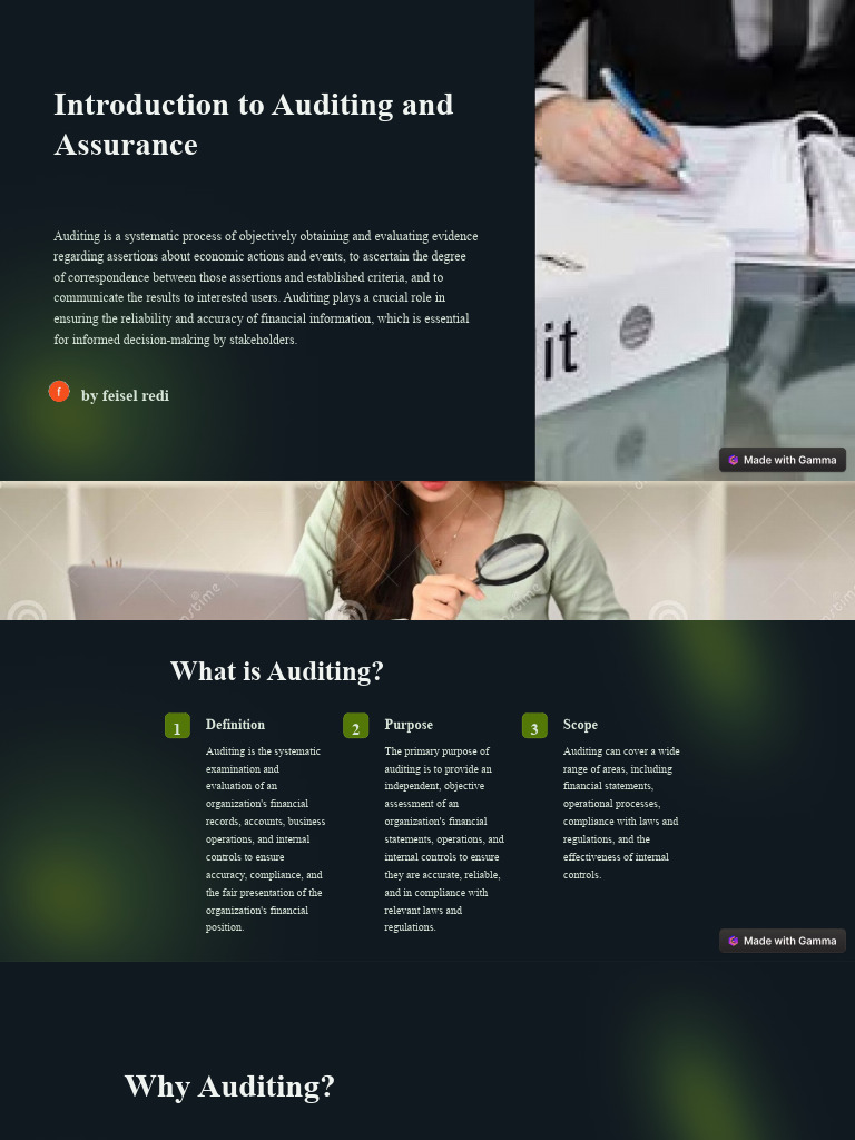 Understanding Auditing and Assurance Basics | PDF | Audit | Internal ...