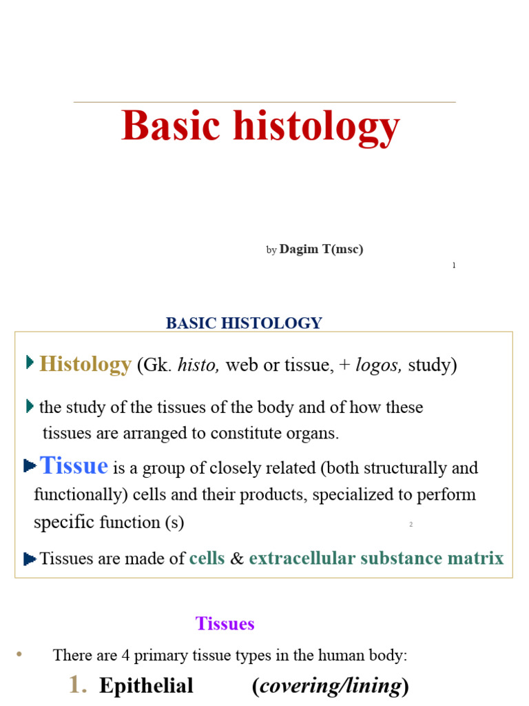 Overview of Human Tissue Types | PDF | Epithelium | Neuron