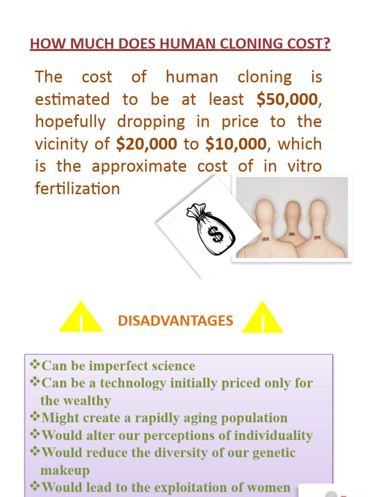 Human Cloning Costs and Risks | PDF