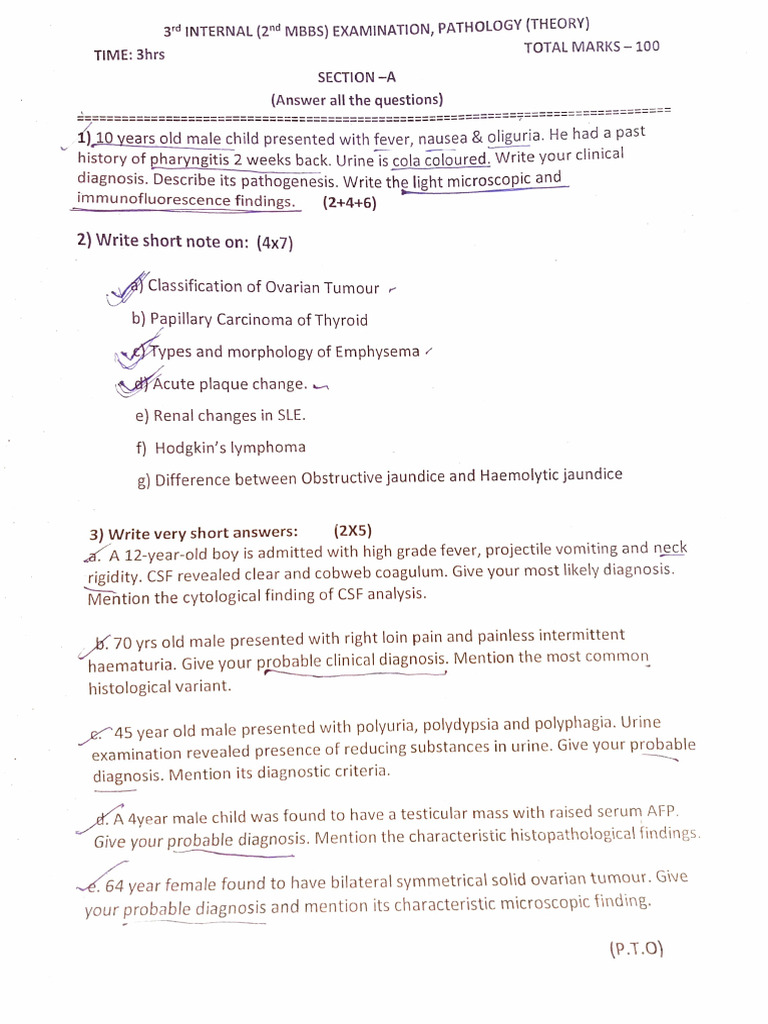 3rd Internal 2020 Batch (2nd Year) | PDF | Infection | Bioavailability