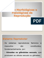 Bases Morfológicas e Fisiológicas da Reprodução