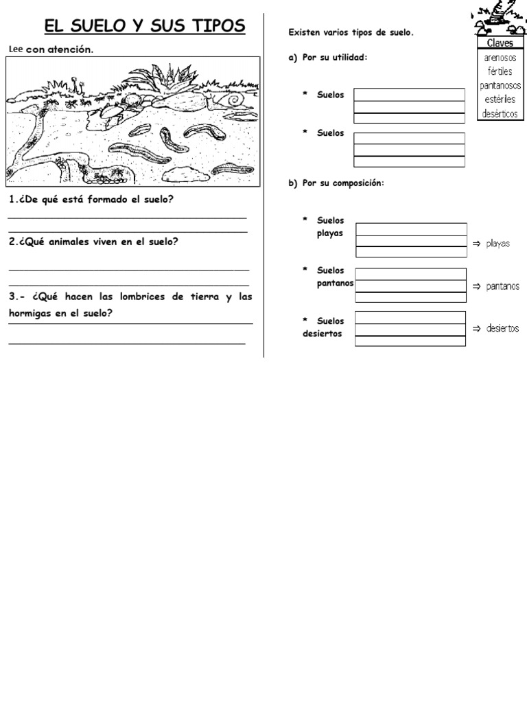 El Suelo y Sus Tipos | PDF | Hogar, jardinería y bricolaje