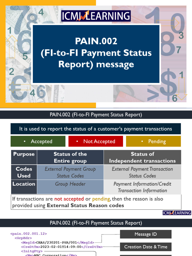 Visual Reference: Fi To Fi Payment Status Report Overview Pdf Business