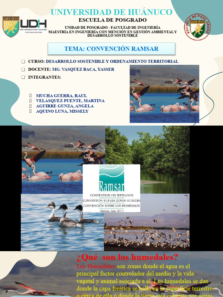 Convención Ramsar | PDF | Humedal | Ciencia medioambiental
