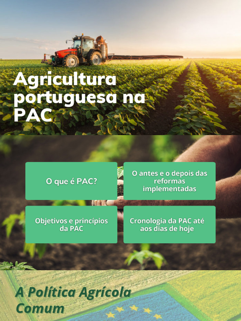 Evolução da PAC na Agricultura Portuguesa | PDF | Política Agrícola ...