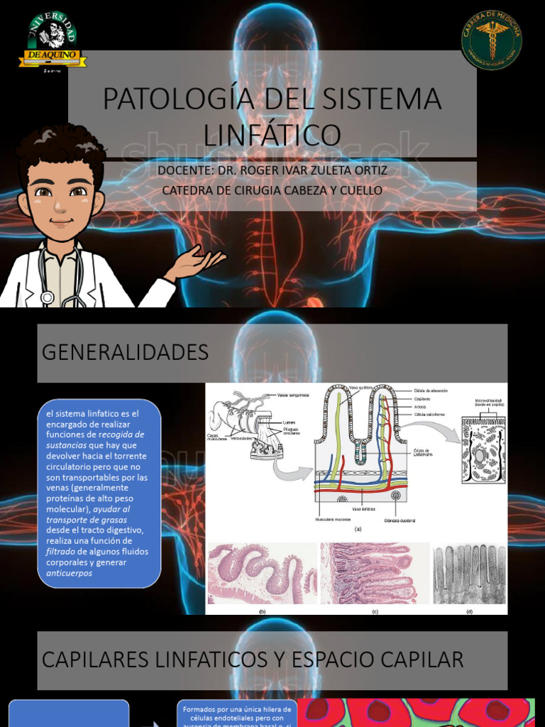 Patologia Del Sistema Linfatico Pdf Sistema Linfático Capilar