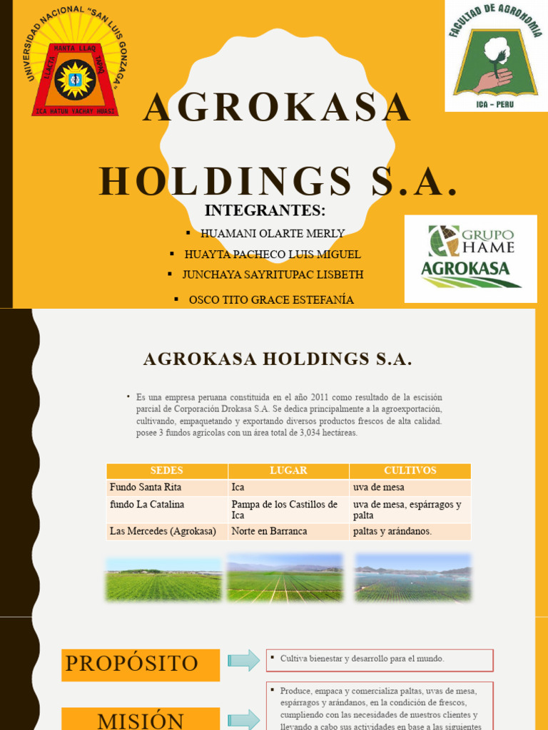 agrokasa-pdf-business-economias