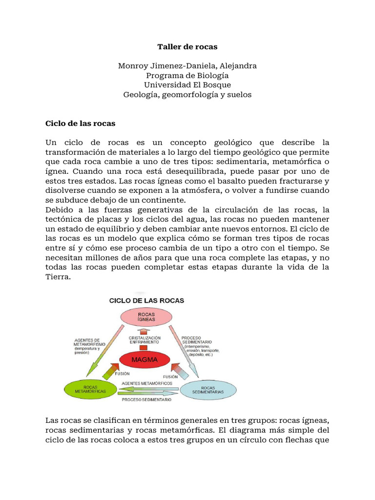 Ciclo de las Rocas: Tipos y Transformaciones | PDF | Roca (geología ...