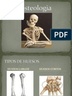 Osteologia 100214111814 Phpapp02h