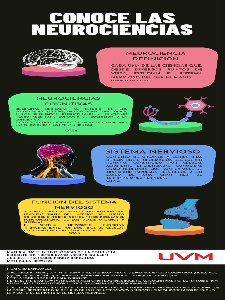 Introducción a las Neurociencias Cognitivas | PDF | Neurona | Neurociencia