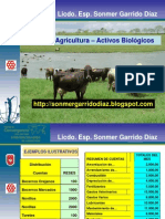 Nic 41 - Agricultura - Activos Biologicos (1)
