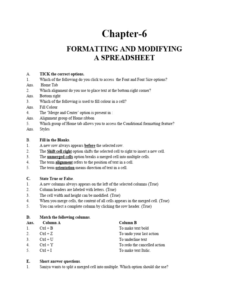 Spreadsheet Formatting Techniques Guide | PDF | Text | Computing
