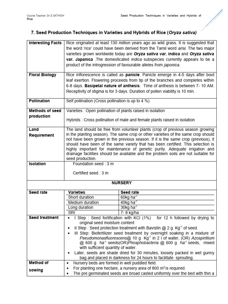 Rice Seed Production | PDF | Pollination | Seed