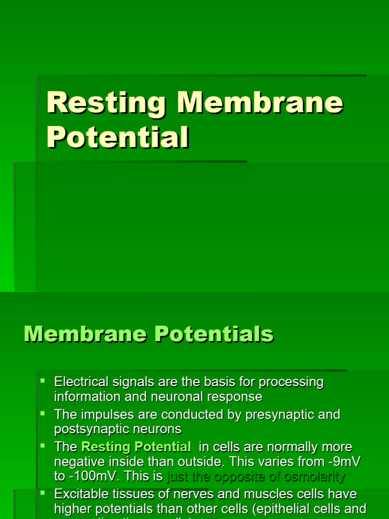 Resting Membrane Potential Overview | PDF | Membrane Potential | Action ...