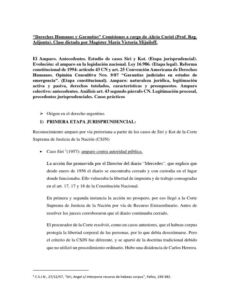 Clase Sobre Amparo | PDF | Habeas corpus | Derecho Constitucional