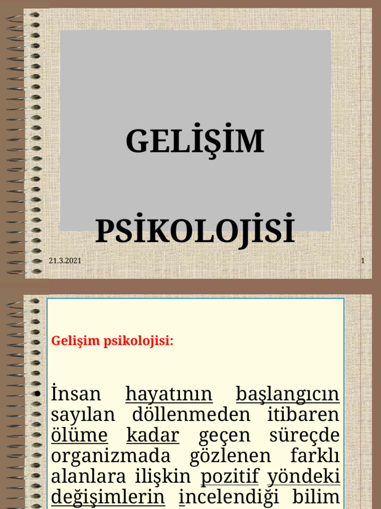 Gelişim - Olgunlaşma | PDF