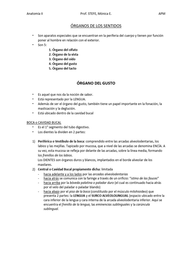 1 Organos De Los Sentidos Gusto 1 Descargar Gratis Pdf Lengua Gusto