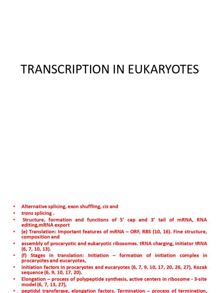 Transcription in Eukaryotes | PDF | Rna Splicing | Promoter (Genetics)