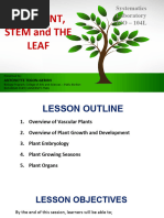 Transverse Sections of Plant Anatomy | PDF | Leaf | Plant Stem