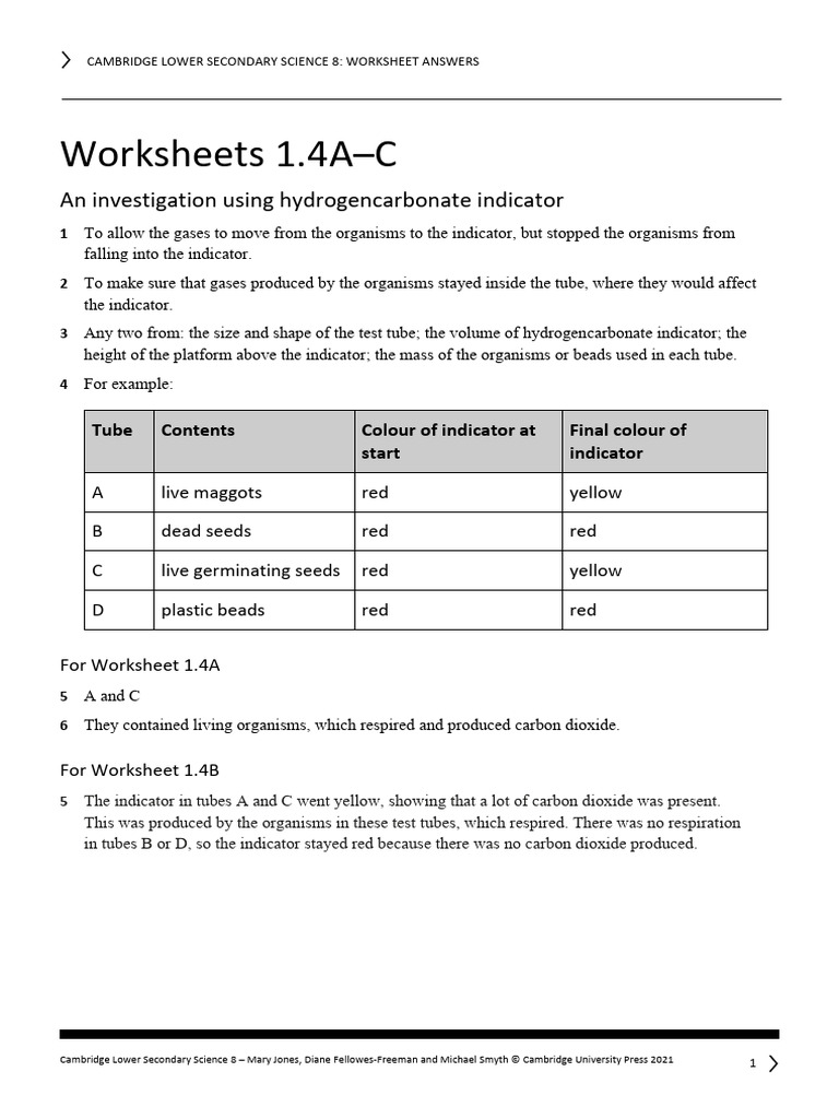 Lower Secondary Science 8 Worksheet Answers PDF Solubility Sodium