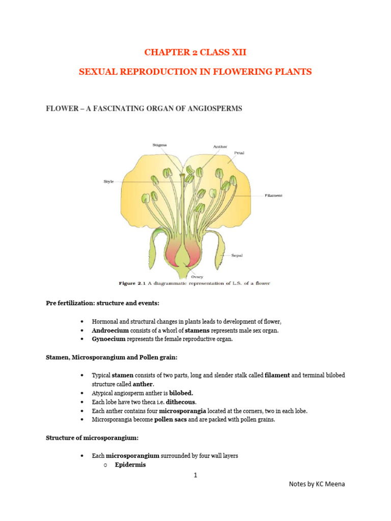 Sexual Reproduction in Flowering Plants | PDF | Flowers | Pollination