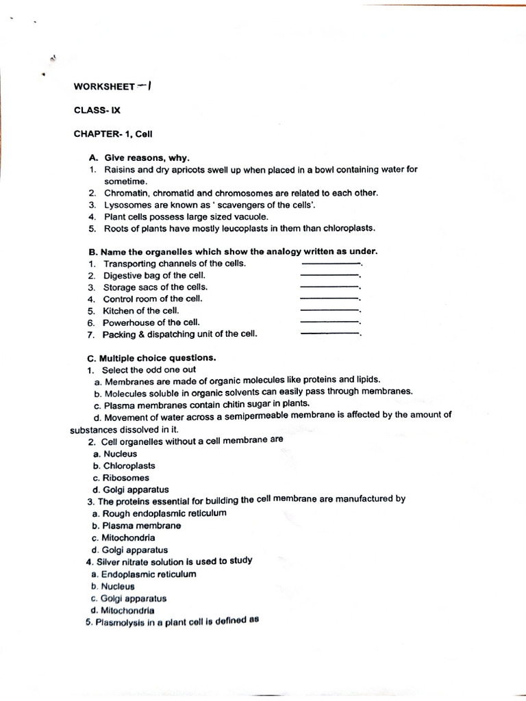 Ix Worksheets Chapters Important | PDF