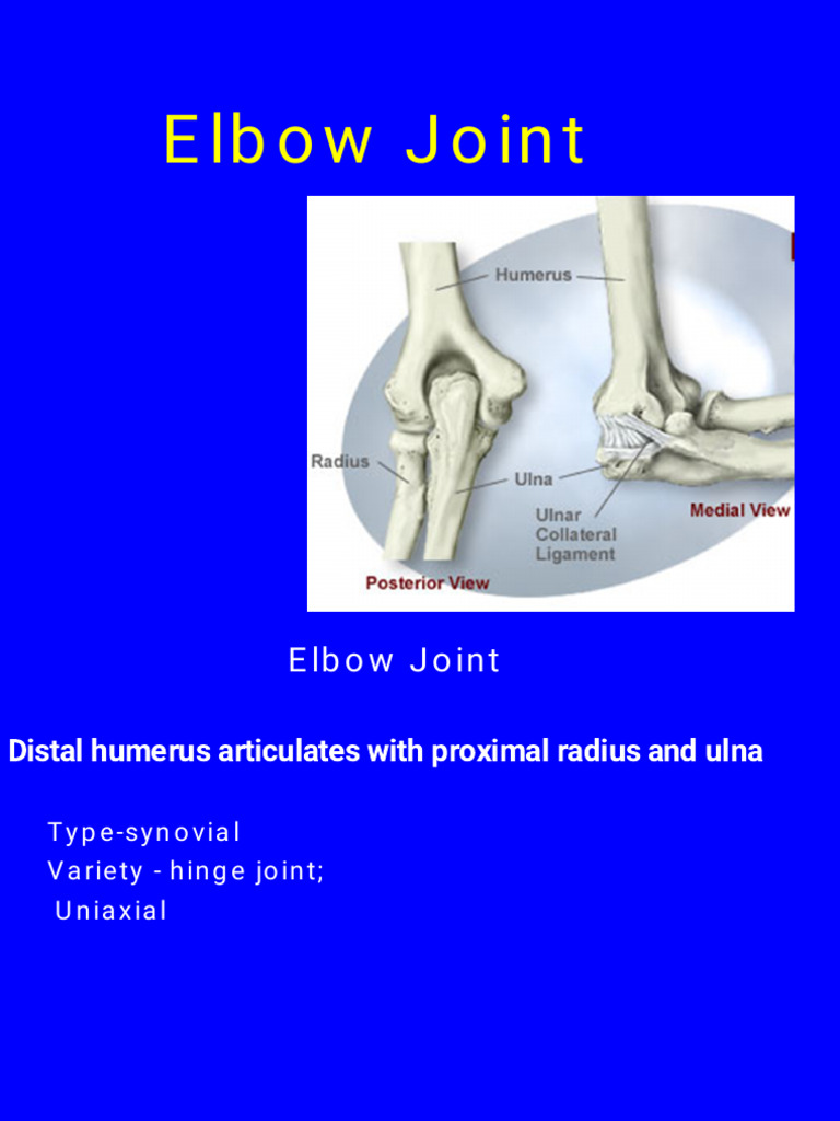 Elbow complex | PDF | Elbow | Joints