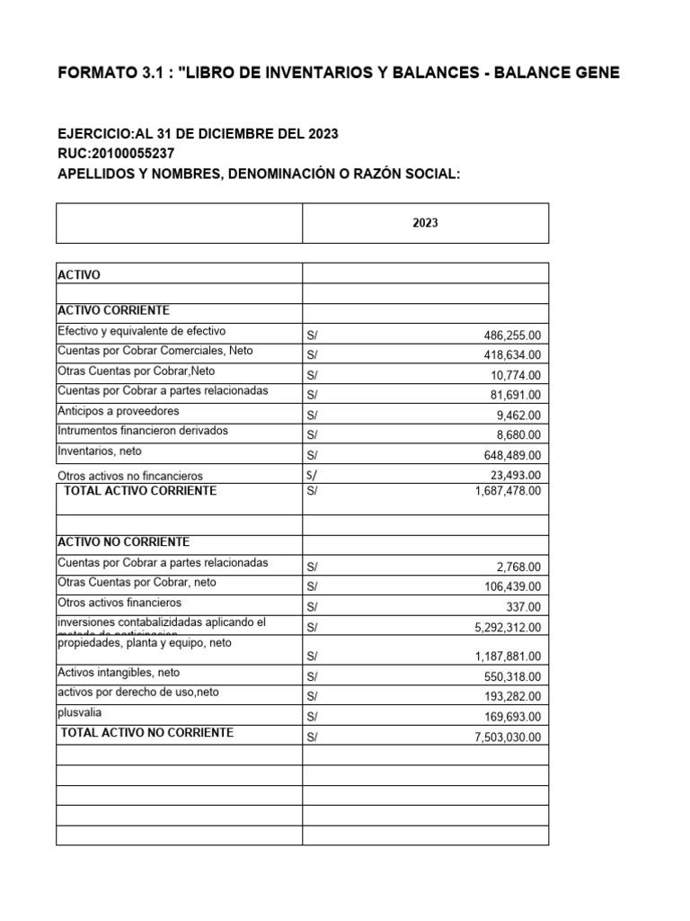 Balance General 2023: Activos y Pasivos | PDF | Valor neto | Inversiones