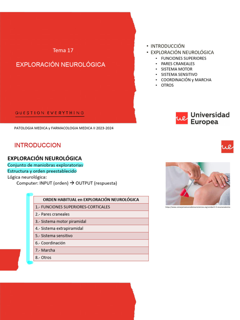 17 Exploraci C3 93N Neurol C3 93gica | PDF | Afasia | Memoria