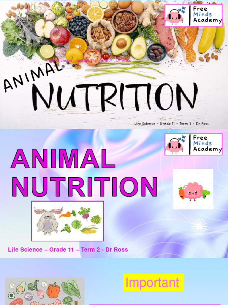 Lesson 3 - Nutrition - Term 2 - G11 - Life Science | PDF | Small ...