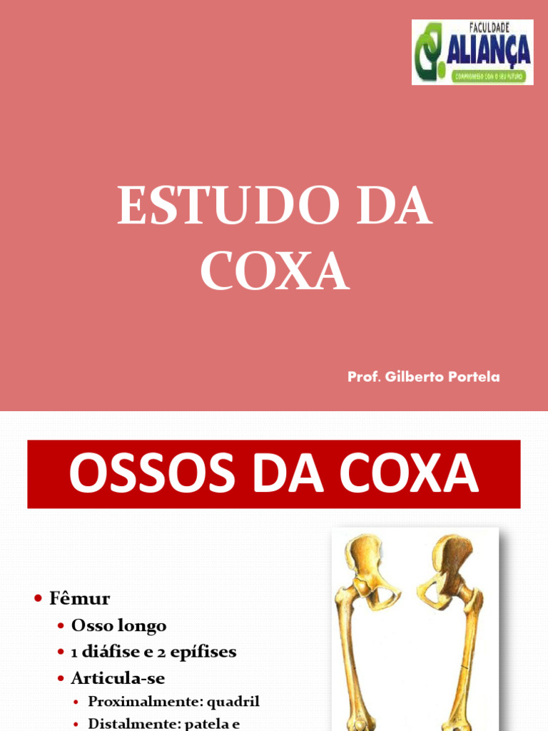 Anatomia dos Ossos da Coxa e Juntura | PDF | Ciências Sociais