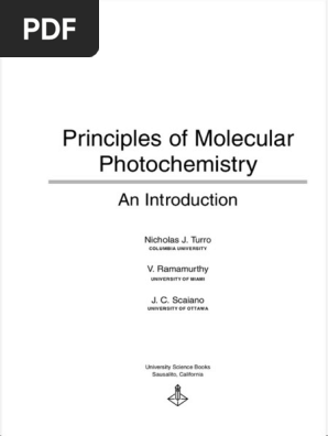 Principles of Molecular Photochemistry An Introduction 1nbsped
