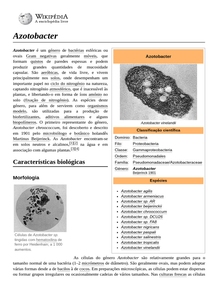 Características do gênero Azotobacter | PDF | Organismos | Ciências da Vida