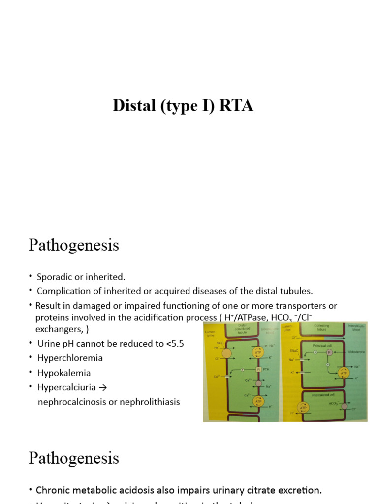 Understanding Renal Tubular Acidosis Types | PDF | Kidney | Clinical ...