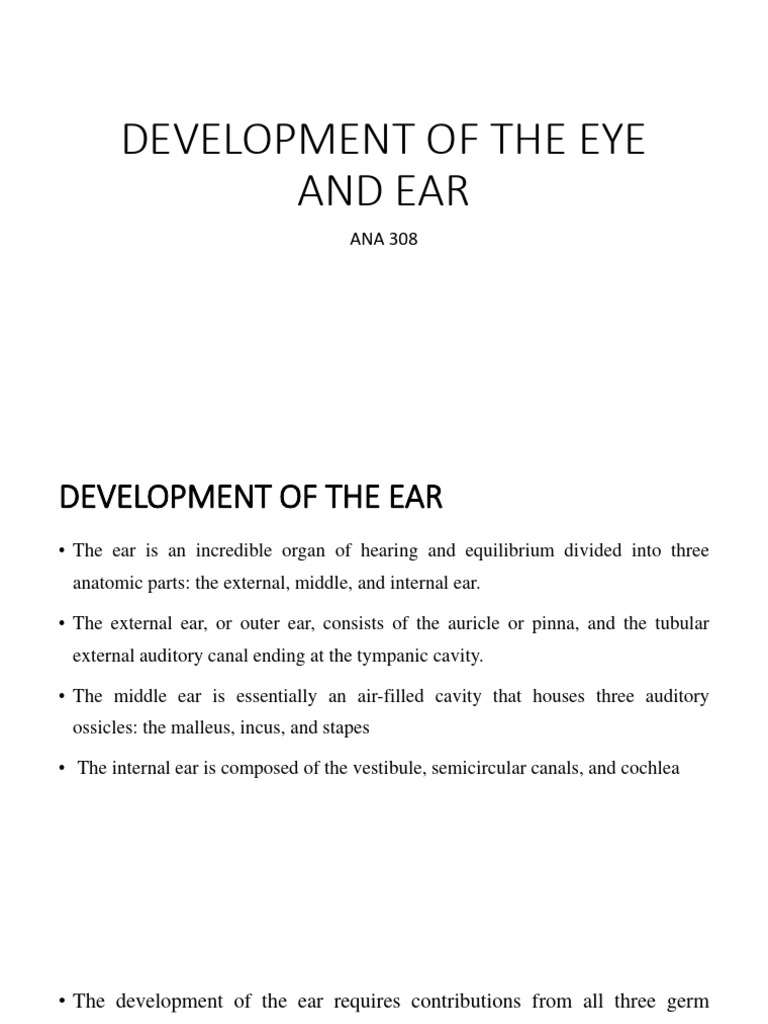 Ear and Eye | PDF | Social Science | Science & Mathematics