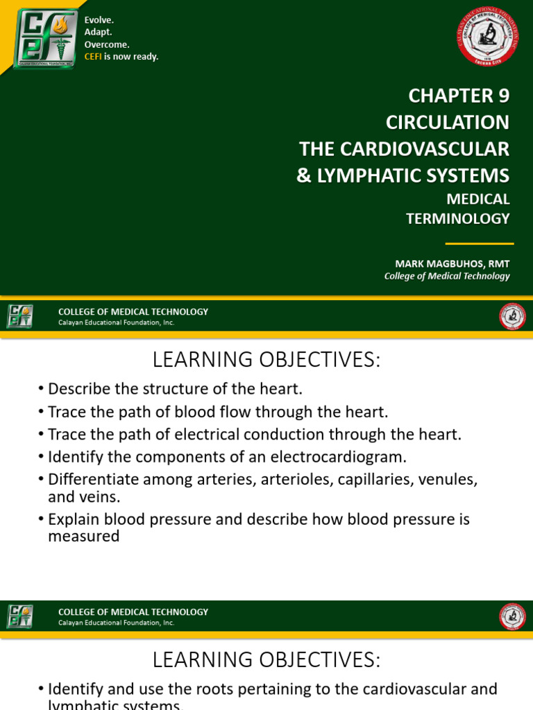 6x03dgtmv Chapter+9+ +circulation+ +the+Cardiovascular+&+Lymphatic ...