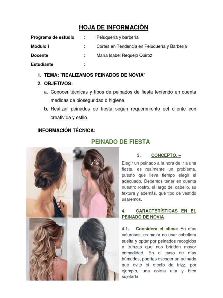 Hoja de Información-Peinados de Fiesta | PDF | Pelo | Apariencia humana, image size:768x1024
