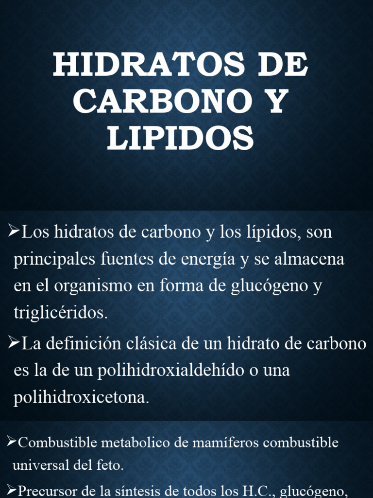 Hidratos de Carbono y Lípidos: Funciones y Estructura | PDF