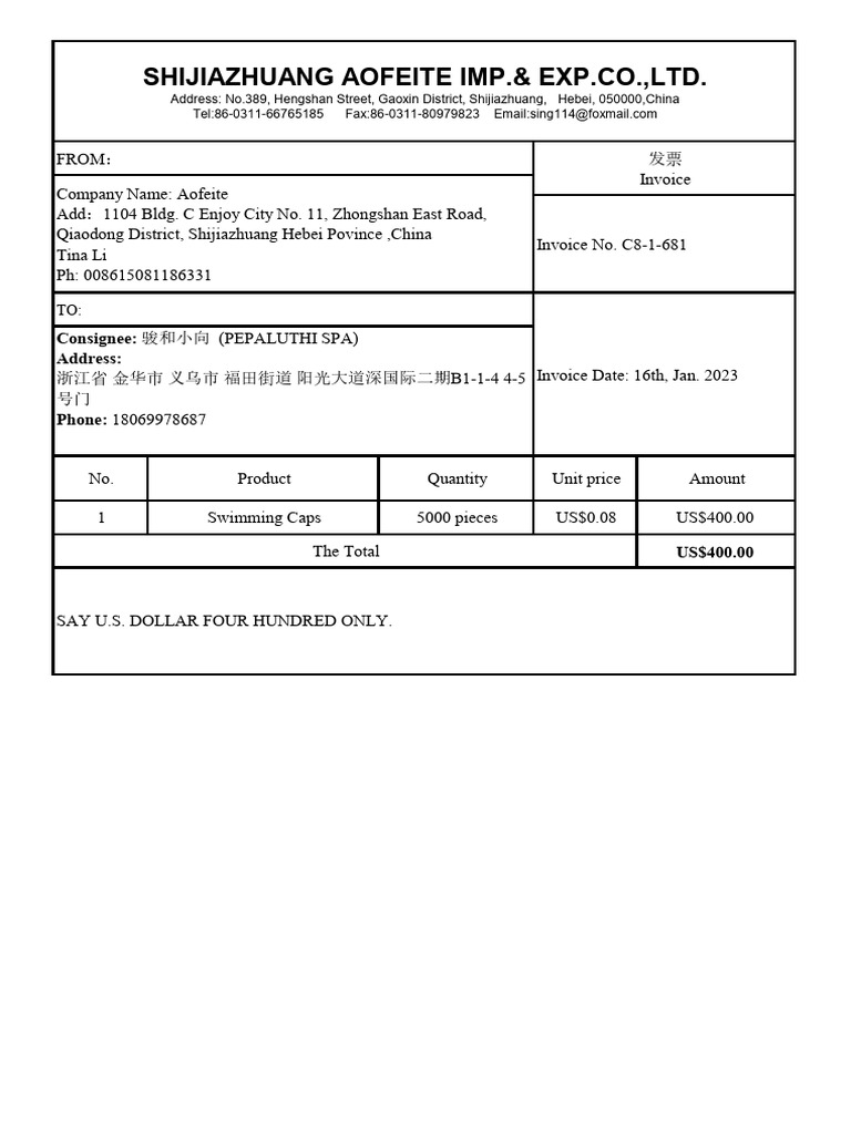 Chinese Invoice Sample from Aofeite | PDF