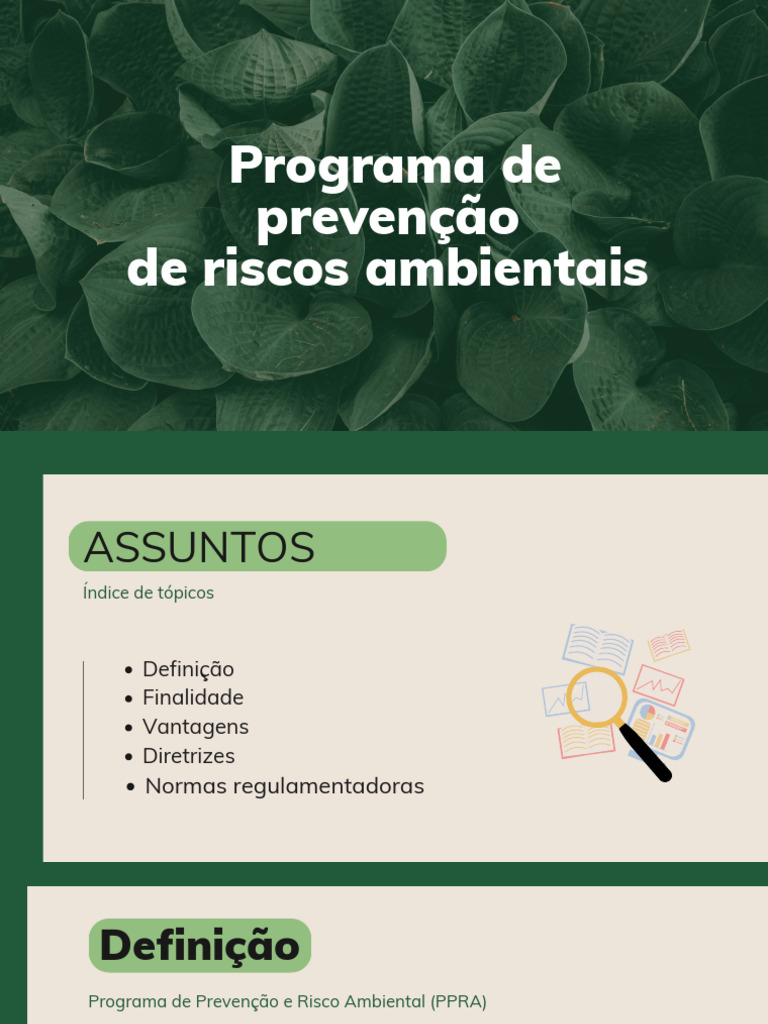 Programa de Prevenção de Riscos Ambientais | PDF | Ambiente natural