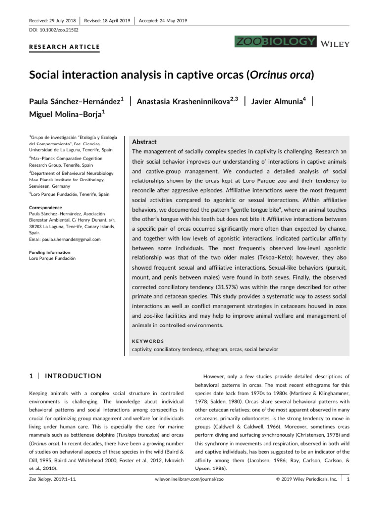 Orca Social Behavior in Captivity | PDF | Behavioural Sciences | Zoology