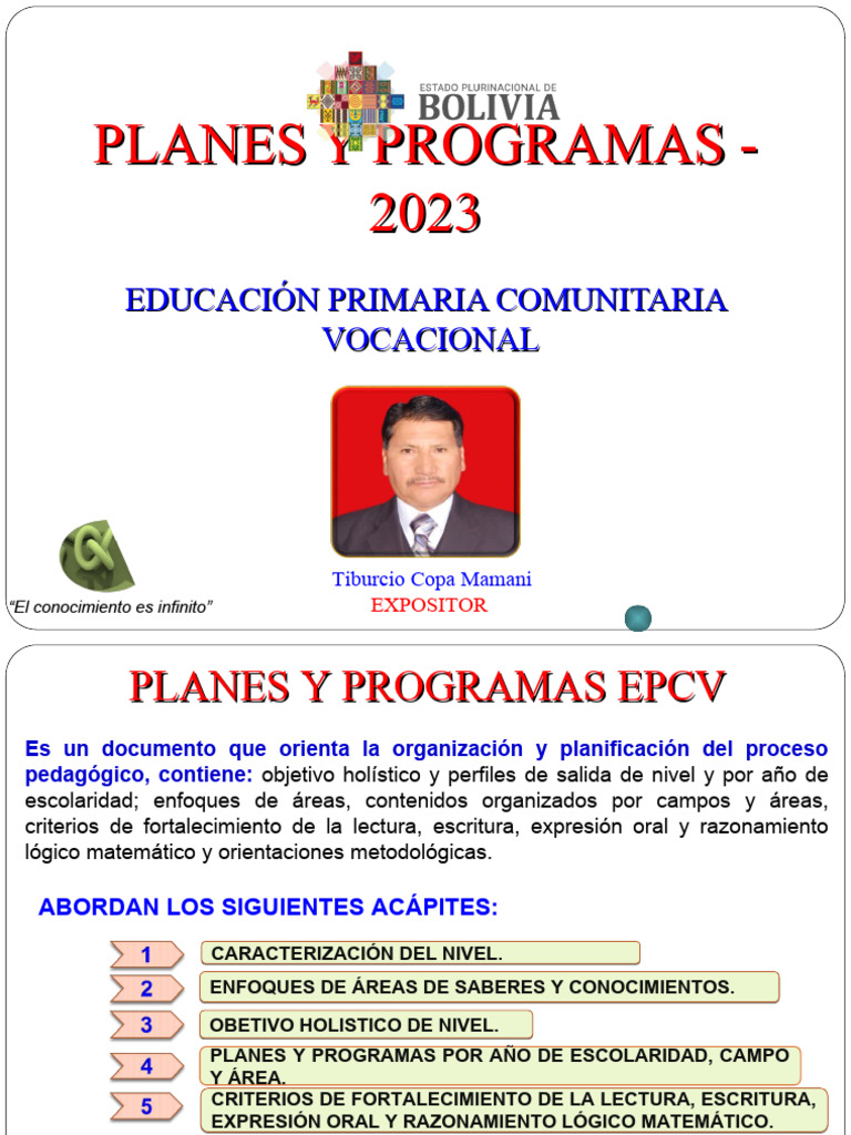 Planes y Programas de Educación Primaria | PDF | Razonamiento deductivo ...