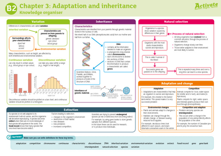 Understanding Adaptation and Inheritance | PDF | Genetics | Genetic ...