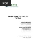 Download 234el Cultivo de La Papaya by dm23rd SN73867706 doc pdf