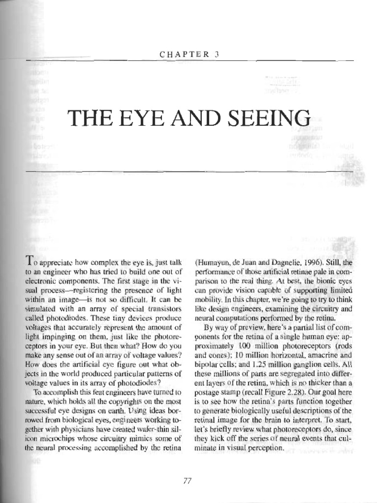 The Eye and Seeing | PDF