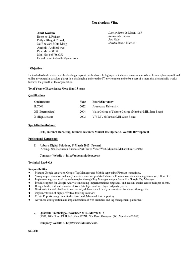Resume amit download free pdf search engine optimization search