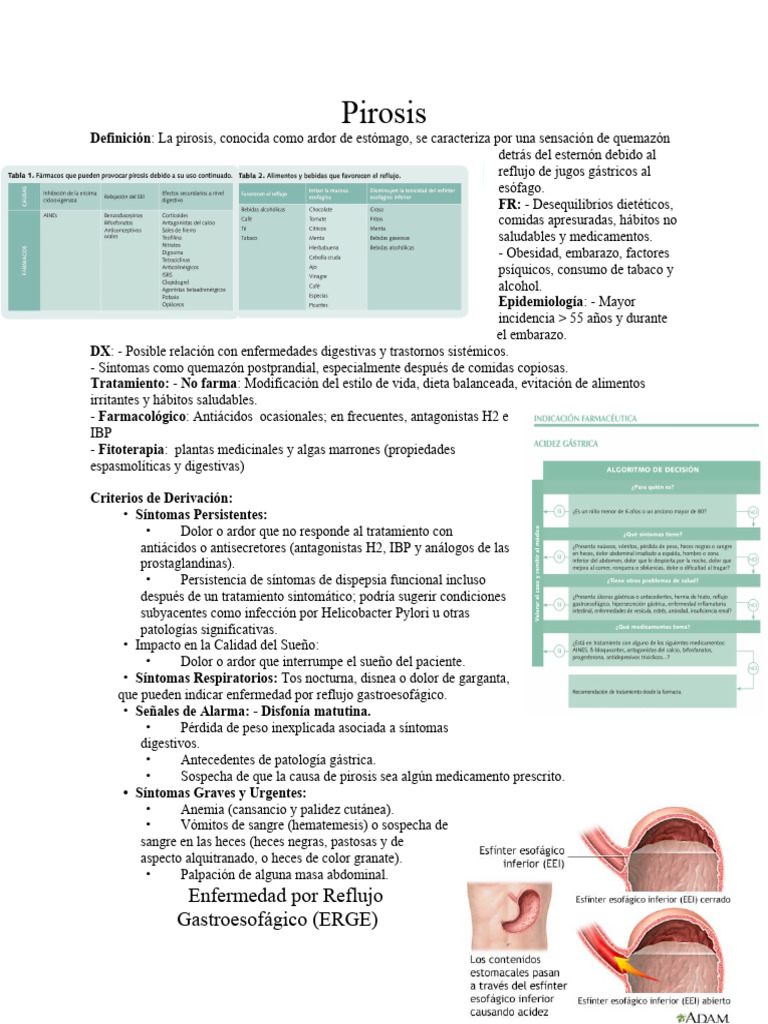 Pirosis y ERGE: Causas y Tratamientos | PDF | Síndrome del intestino ...