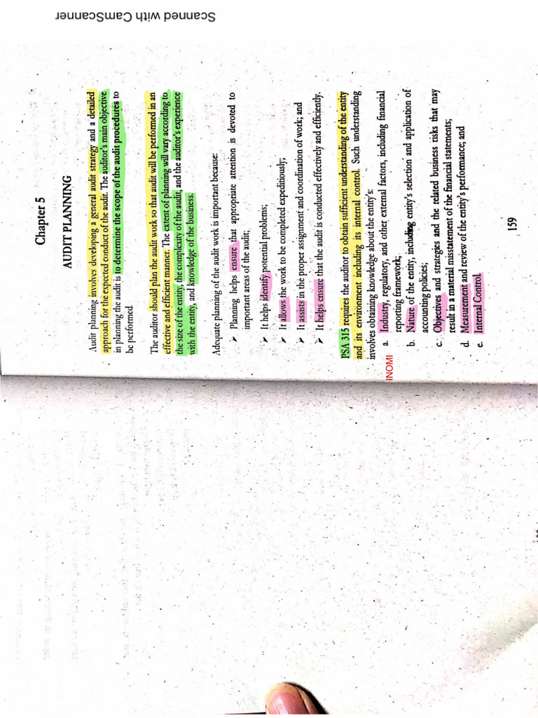 01-audit-planning-pdf